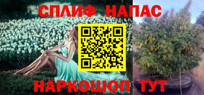 трава Гатчина