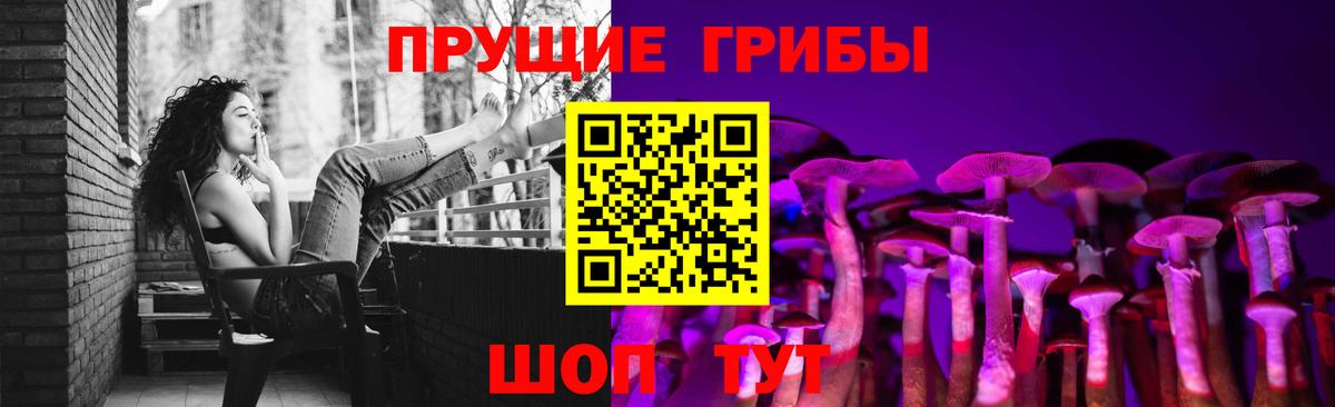 Галлюциногенные грибы GOLDEN TEACHER  Вход с VPN  как найти закладки  Горно-Алтайск 